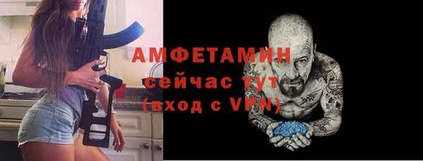 шишки Нея