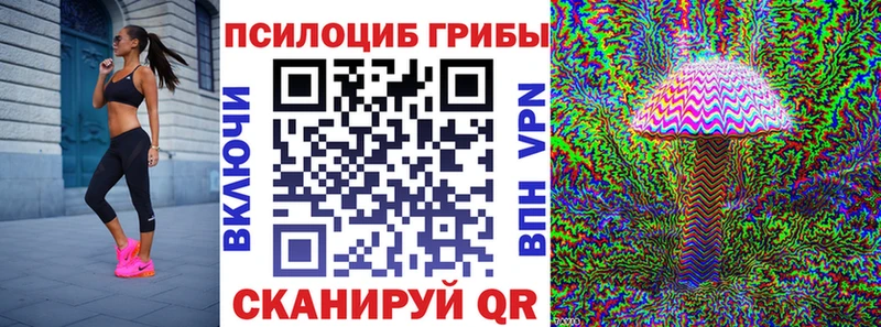 Галлюциногенные грибы мицелий  Купить  Кашин 